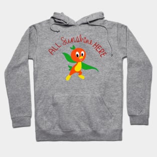 All Sunshine Here Hoodie